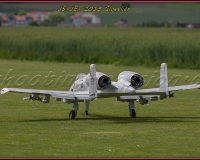 1GLOVELIER 0446